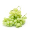 عنب أخضر