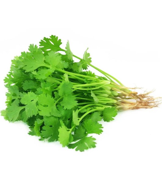 كزبرة - حزمة