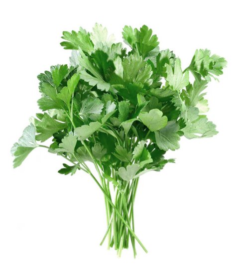 بقدونس - حزمة